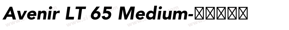 Avenir LT 65 Medium字体转换
